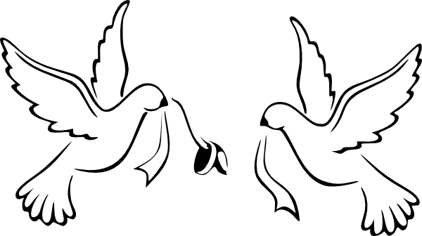 Image 03