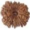20 Mukhi Rudraksha