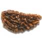 Description: 1 Mukhi